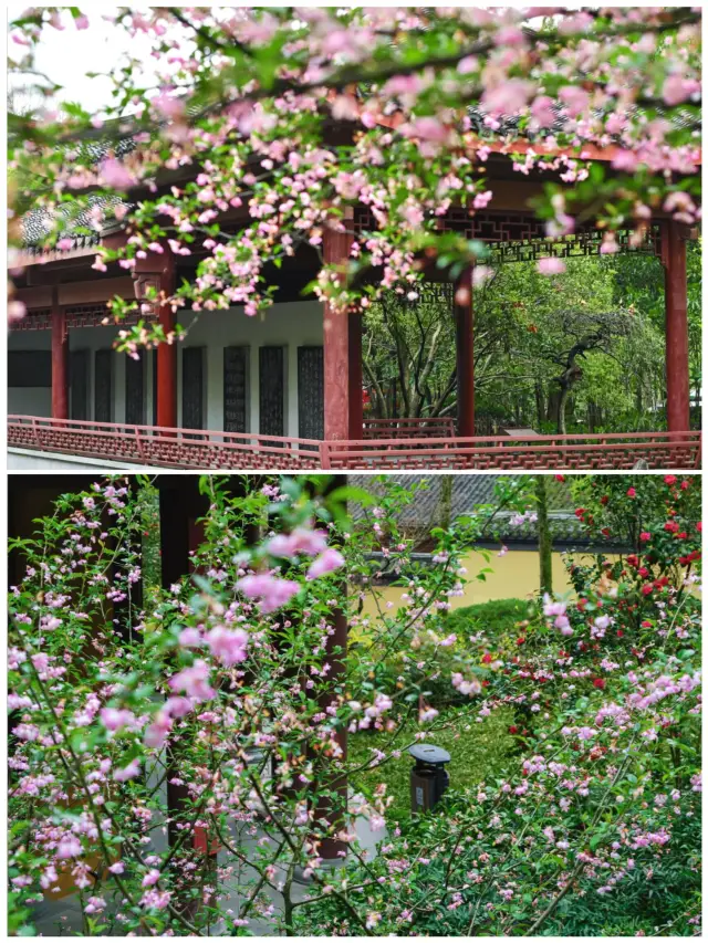 第一次去杭州，直接複製這條路線