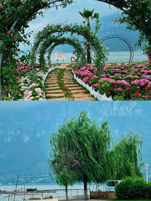 昆明春城 詩意春城 一場浪漫嘅邂逅