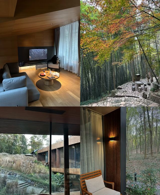打工仔週末Staycation·隱藏在竹海裡的民宿