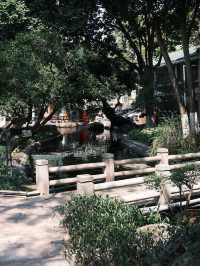 中山名樹園:城市中的自然瑰寶