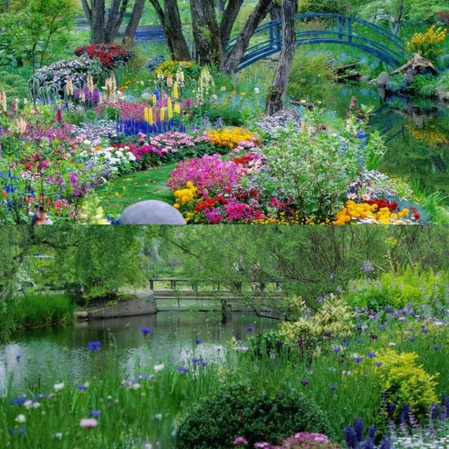 共青森林公園 現實版莫奈花園攻略來啦