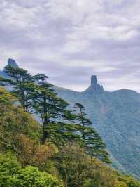 梵淨山人間仙境與舌尖風味的完美邂逅