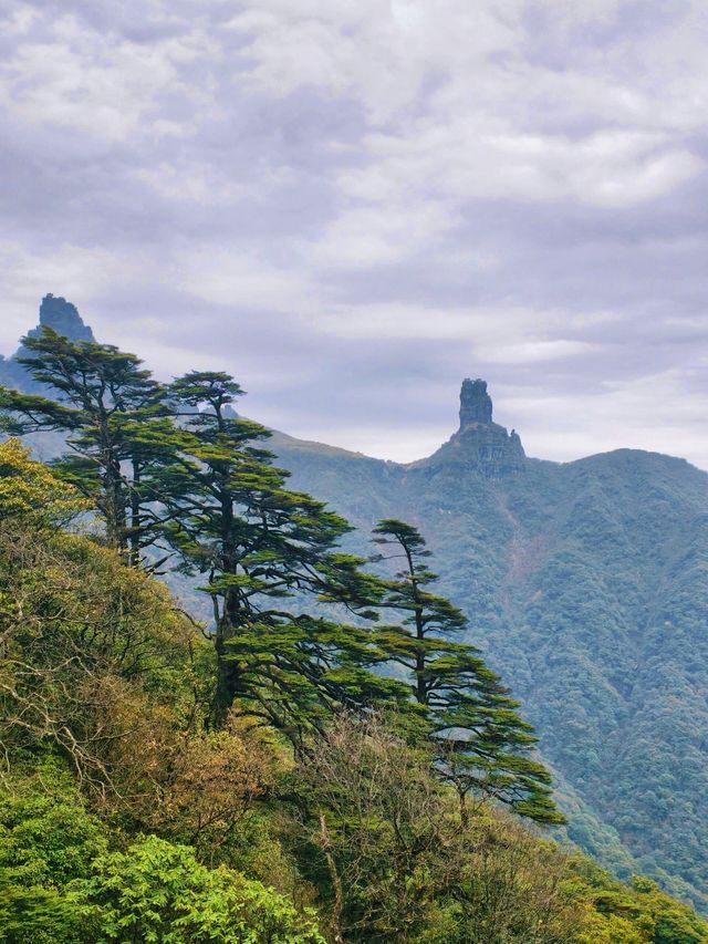 梵淨山人間仙境與舌尖風味的完美邂逅