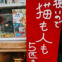 東京日常｜神樂坂的貓咪郵局