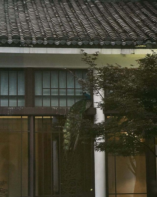 黃山腳下，邂逅悅榕莊的治癒時光
