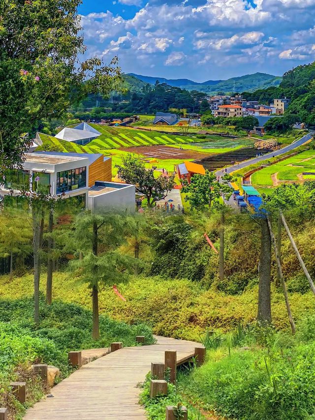 廣州1h，我好像找到了夢中世外桃源的場景