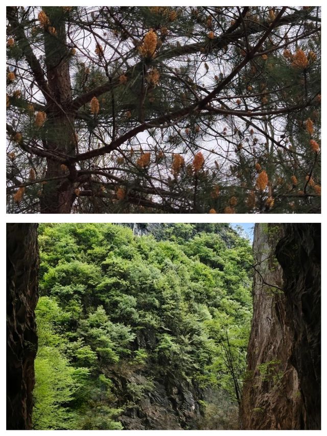 天星谷徒步愛好者喜歡的地方野外探險刺激