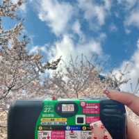 首爾月記｜在浪漫之都收穫滿滿幸福的30天🌸 