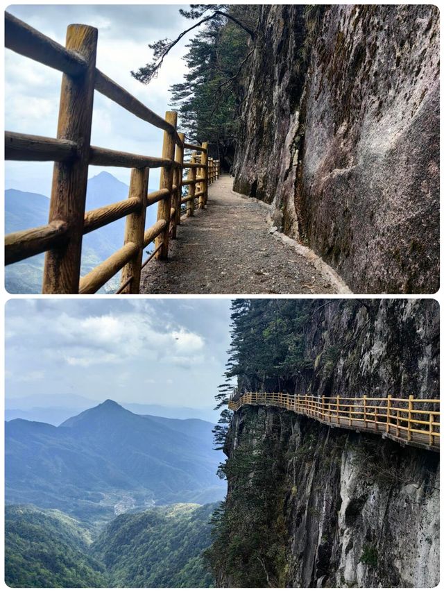 硒泉雲瀑暴走！明月山追光手賬