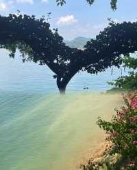 奔赴河源萬綠湖，縱享湖光山色的狂歡