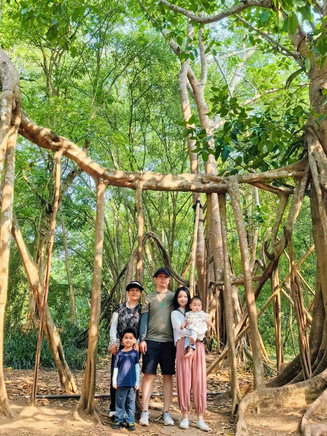 親子遊熱帶植物園丨西園3小時步行探秘全記錄