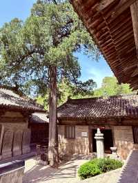 一寺貫六朝——龍門寺