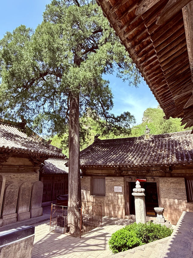 一寺貫六朝——龍門寺