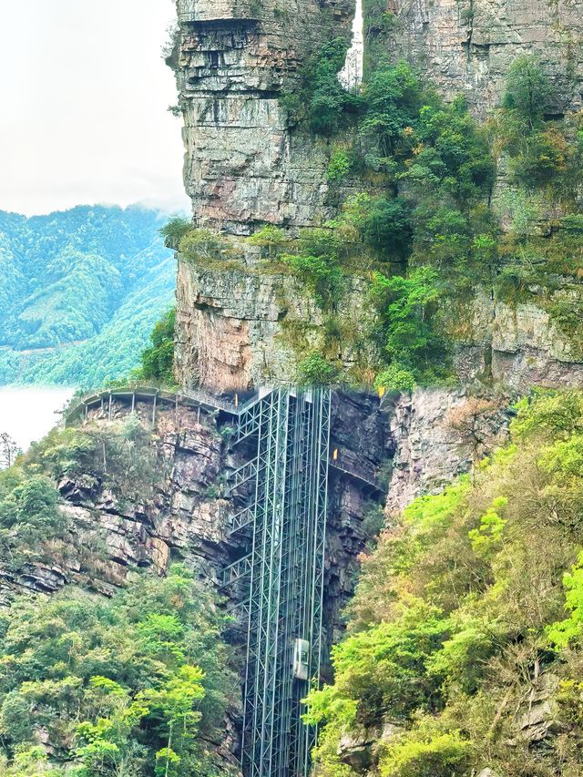 你仲未睇過瑤山㗎嘛