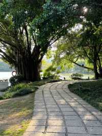 左海公園旅遊攻略：邂逅福州嘅城市綠洲