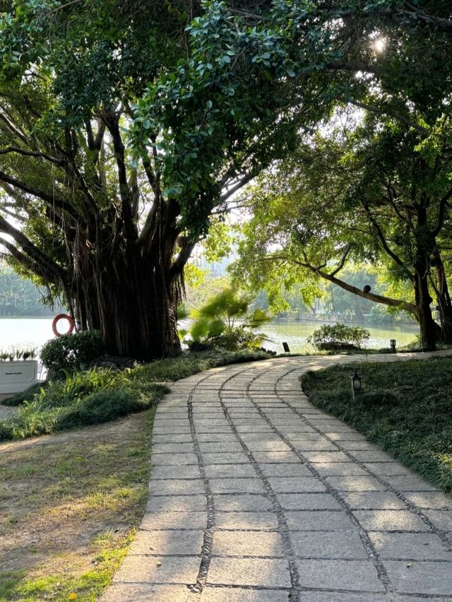 左海公園旅遊攻略：邂逅福州嘅城市綠洲