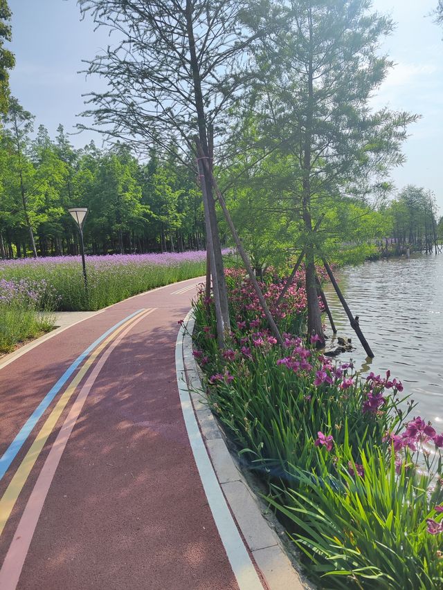 樂清清和公園：城市綠肺與人文交融嘅詩意空間