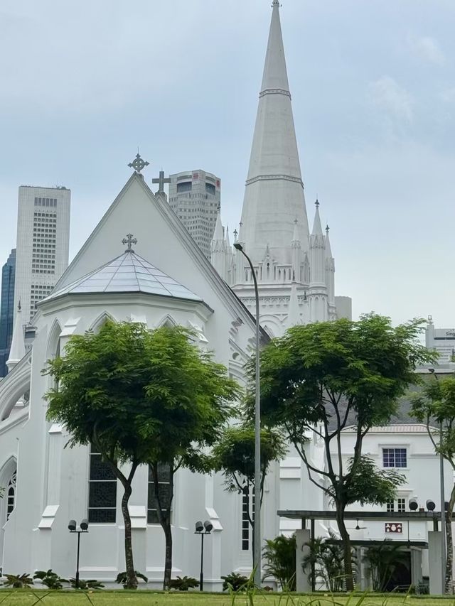 新加坡返嚟之後嘅後勁真係太大啦 