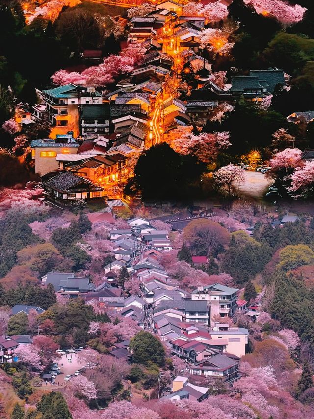 東京早櫻……好似漫畫中嘅春日場景