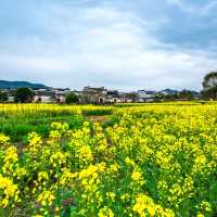 真實體驗路線攻略～黃山3日遊