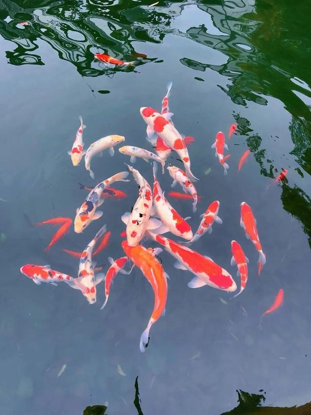 蘇州
