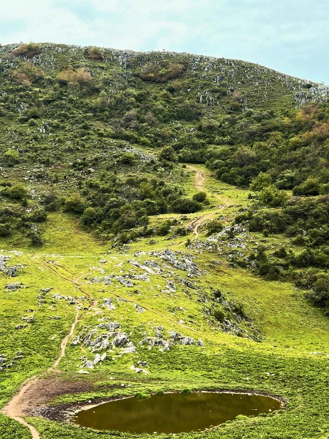 端午打卡陝西「墨石公園」北陽山草甸徒步