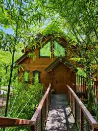 喺神農架住進童話森林木屋，靚到喊咗出嚟