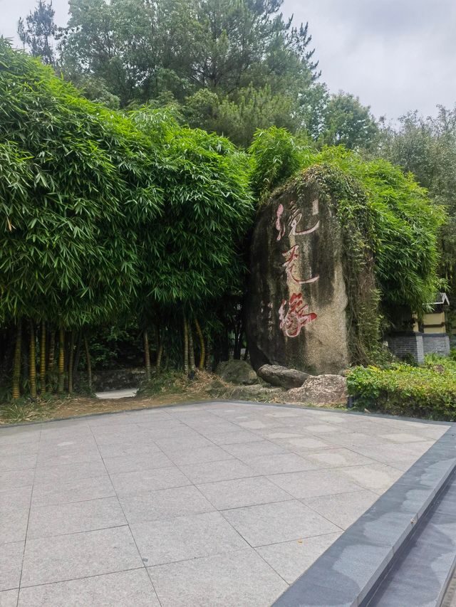河源萬綠湖——潛入99%透明的翡翠湖