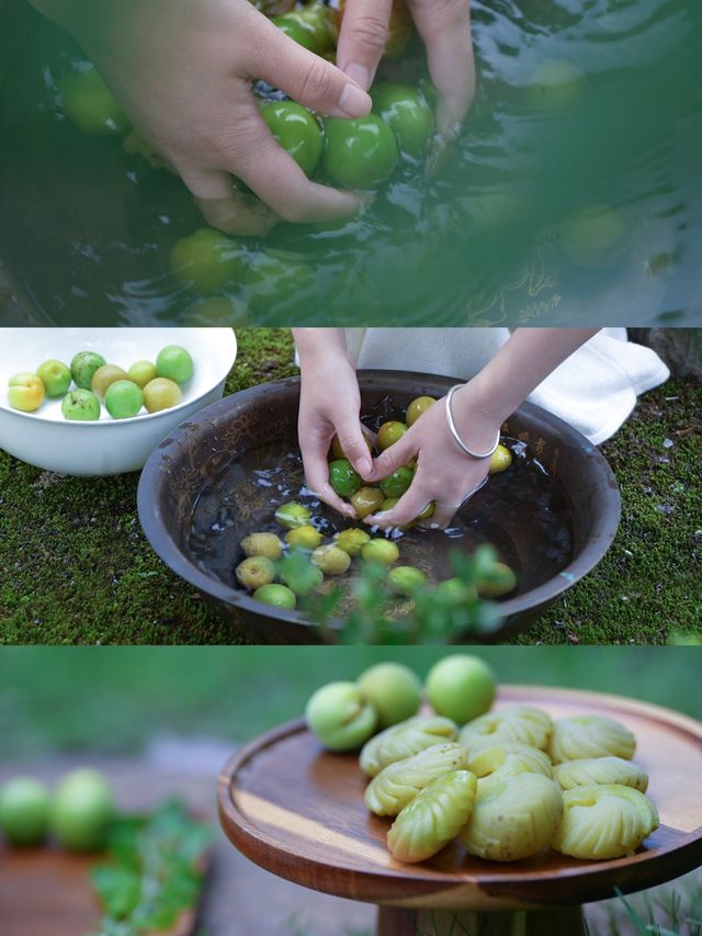 一顆梅子的心事 | 今日開始變溫柔
