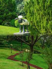 上帝視角睇廣州！ 白雲山摩星嶺，城市天際線封神之作！