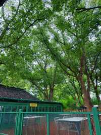 高考结束带娃冲入世外桃源吸氧
