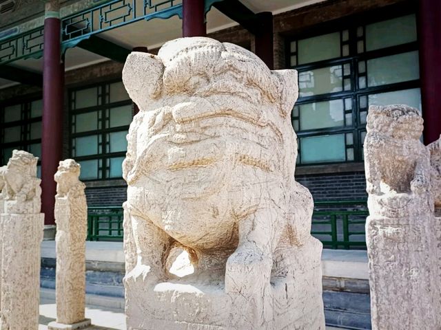 From Art to History: Jinan’s Free Museum Days Revealed