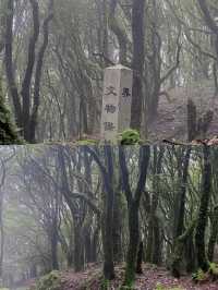 闖入迷霧結界！哀牢山，解鎖異世界生存法則