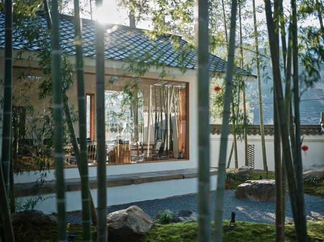 住進萬畝茶山，在竹林小院做一日閒散茶人