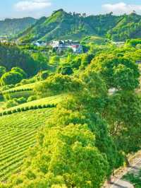安吉2天1夜治癒之旅｜餵鹿撸羊·山野手作·南法花園，朋友圈被問到爆！  冇諗到喺杭州自駕1.5h嘅