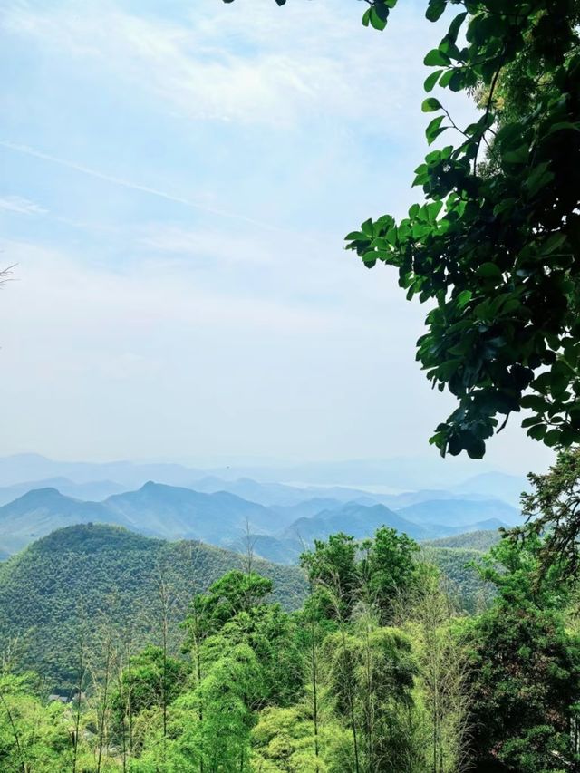 莫干山被譽為「江南第一山」，係江浙滬地區絕佳嘅避暑勝地。
