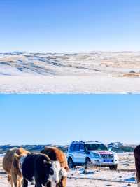 賞北國冰雪｜自駕多倫縣，玩轉雪地越野！