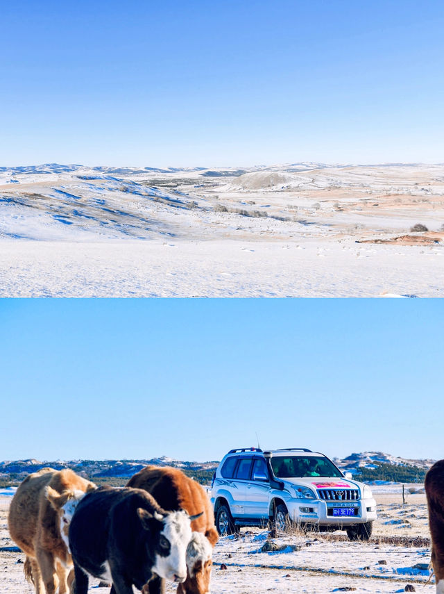 賞北國冰雪｜自駕多倫縣，玩轉雪地越野！