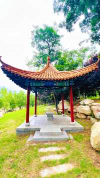 夏日暢遊煙台牟平沁水河口國家濕地公園