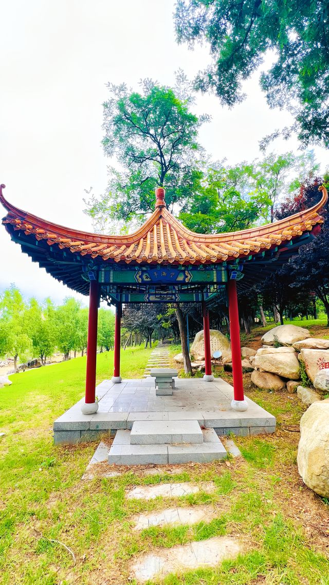 夏日暢遊煙台牟平沁水河口國家濕地公園
