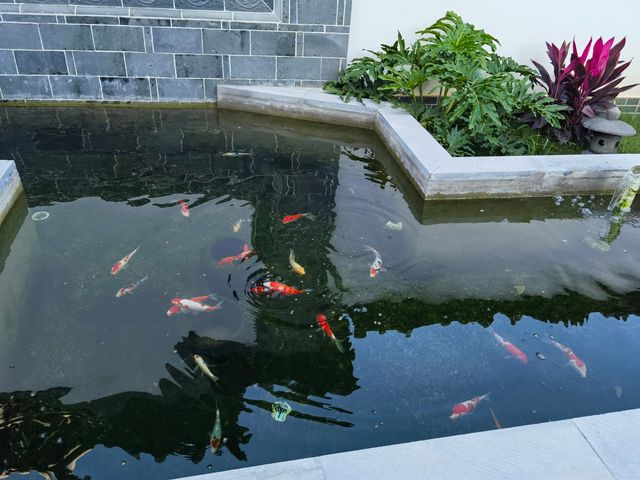 住進千年建水詩意裡，解鎖紫陶文化慢生活