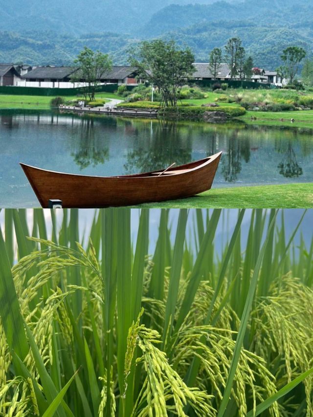 峨眉高橋里：文藝青年的心靈棲息地