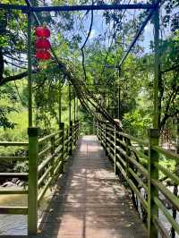 A Hidden Treasure in Hainan!🌿