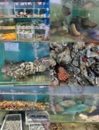 瓊海·潭門跨越時空，邂逅千年漁港之美  
瓊海潭門鎮，與博鰲一水相鄰，最著名的莫過於這裡剛捕撈上岸