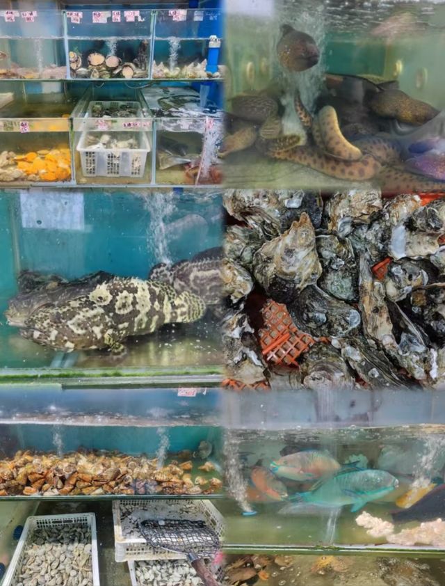 瓊海·潭門跨越時空，邂逅千年漁港之美  
瓊海潭門鎮，與博鰲一水相鄰，最著名的莫過於這裡剛捕撈上岸