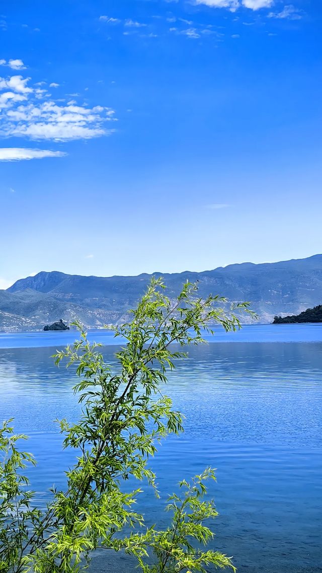 瀘沽湖：墜入凡間的藍色詩行
