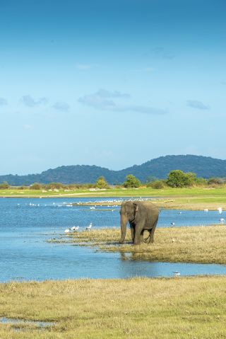 絕不遜色於馬爾代夫！這個島國玩法更令人驚艷