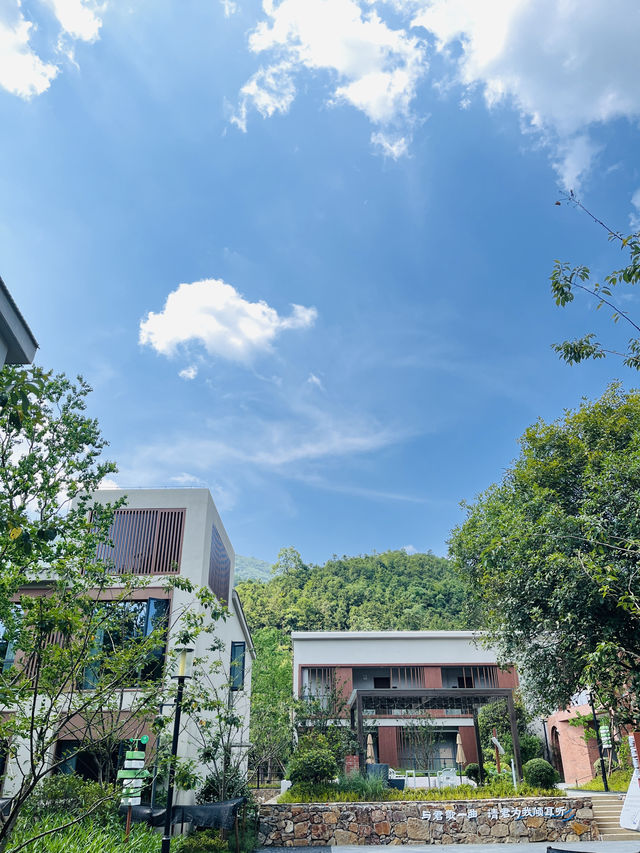 喺「中國硒都」嘅老學校入面，我搵到咗課本以外嘅夏天！