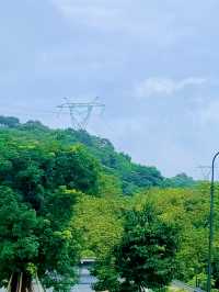 廣州金坑綠谷：免費放電嘅童話田園
