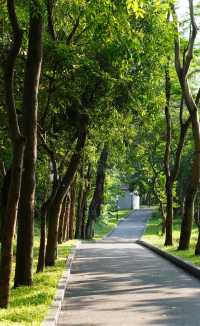 廈門集美學村漫遊指南 | 住錦江之星，邂逅夏日美好   想逃離城市喧囂，來一場輕鬆愜意的短途遊？